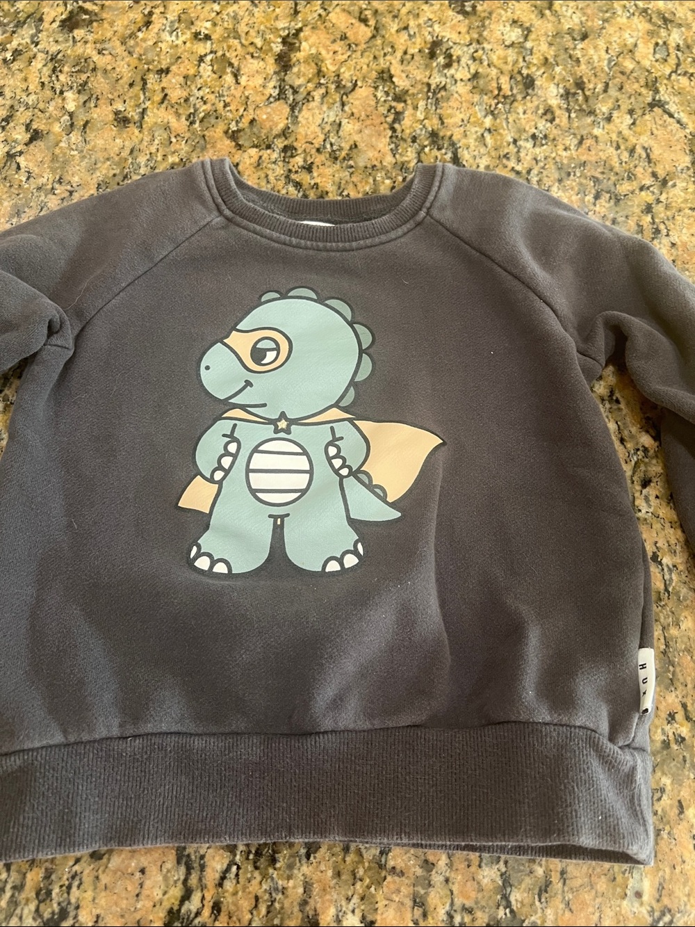 Hux Gray Sweatshirt with Mint & Yellow Dino Graphic size 5